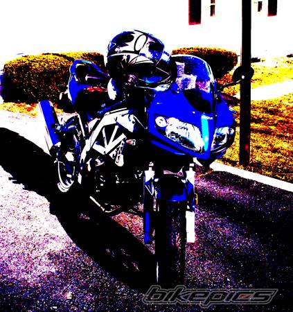 Photo 328065