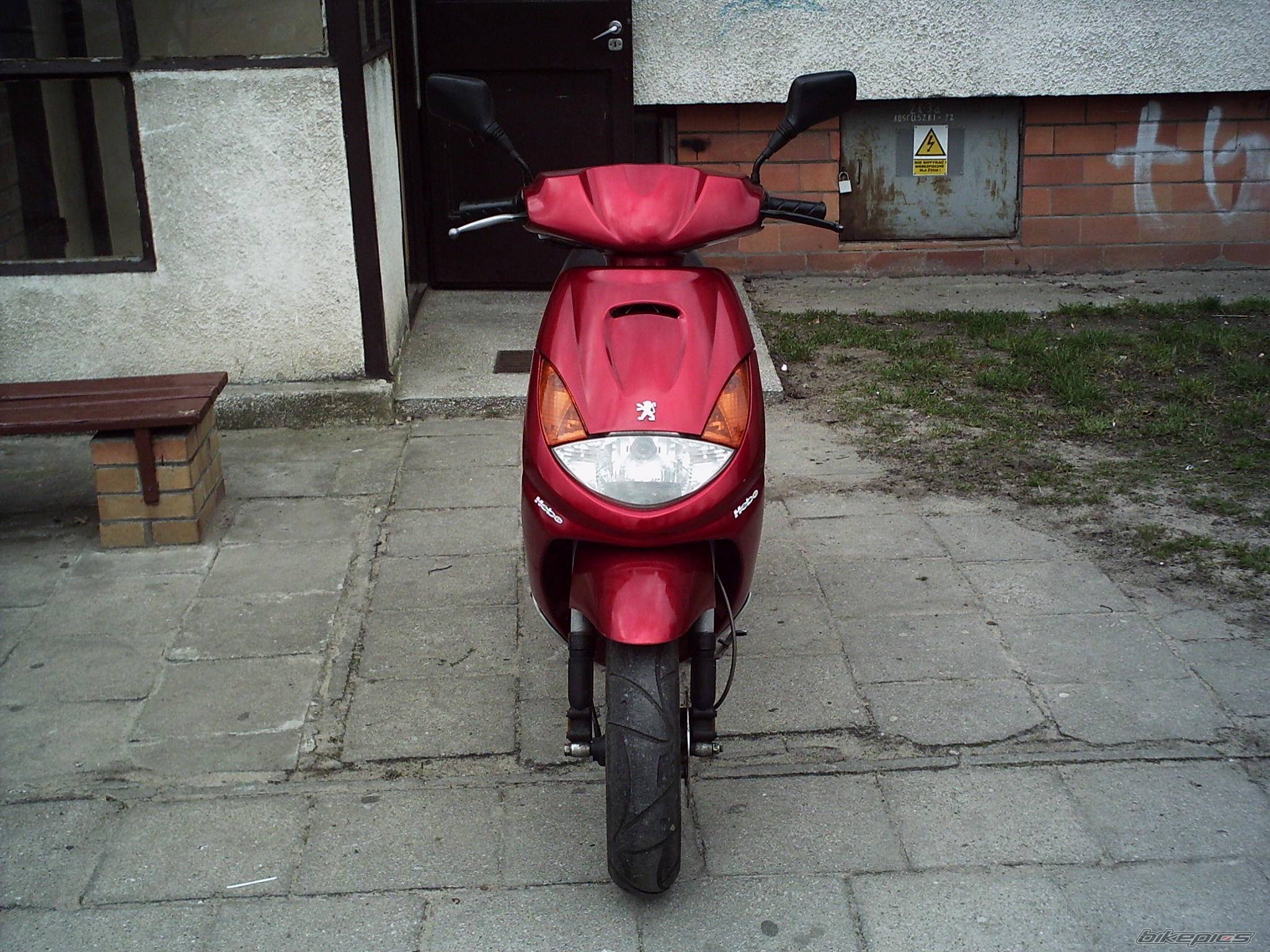Photo 328236