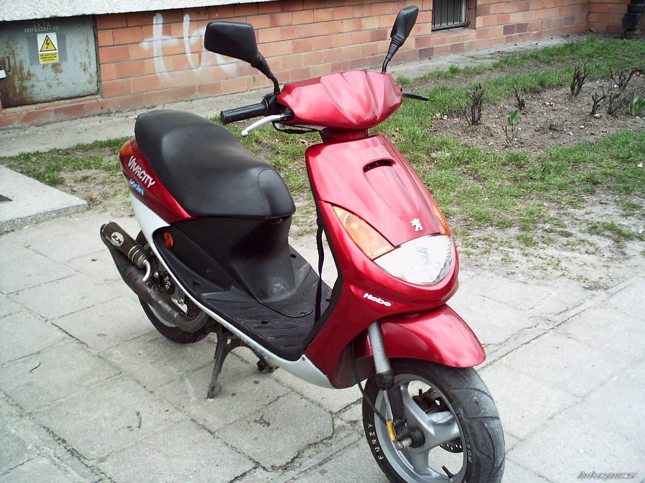 Photo 328262