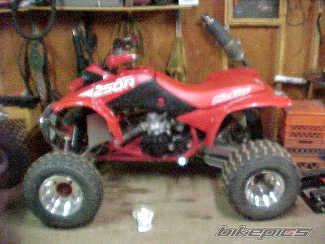 Bike Photo 32828