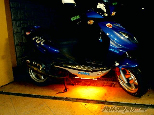 Photo 328293