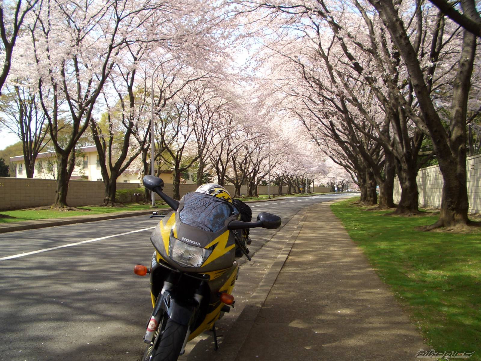 Bike Photo 328302