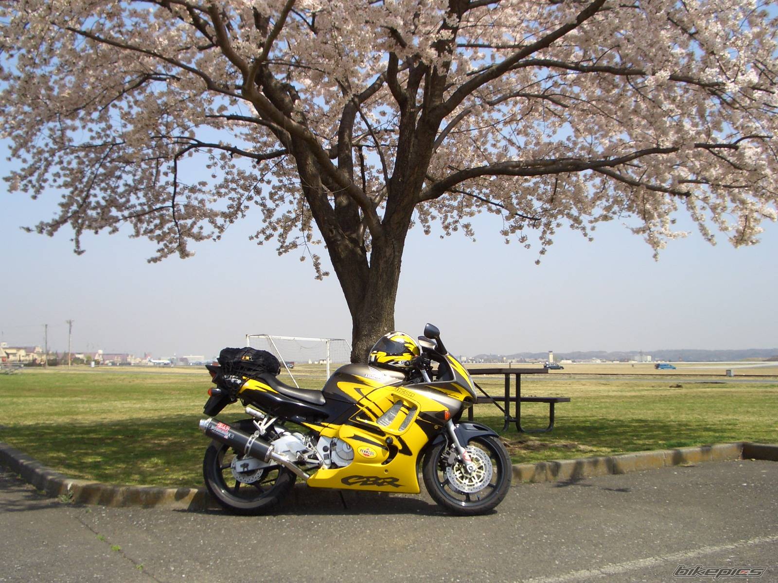 Bike Photo 328304