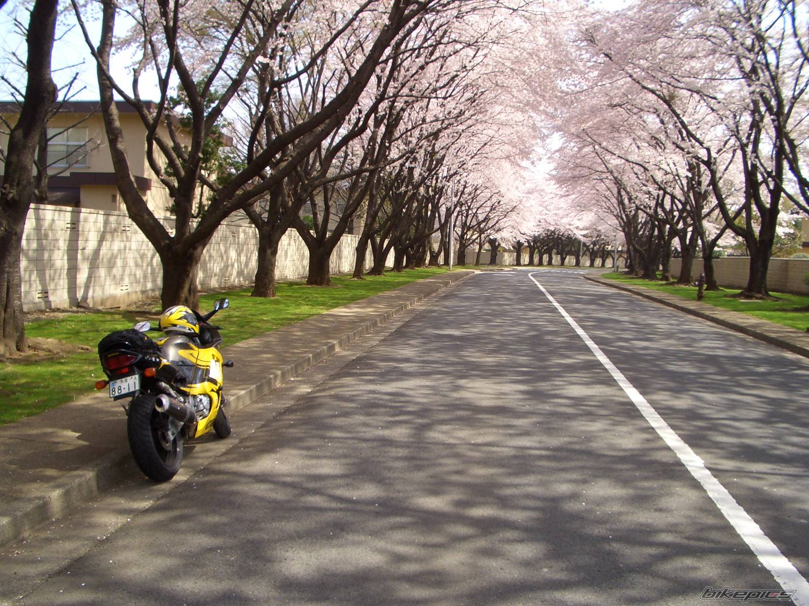 Bike Photo 328310