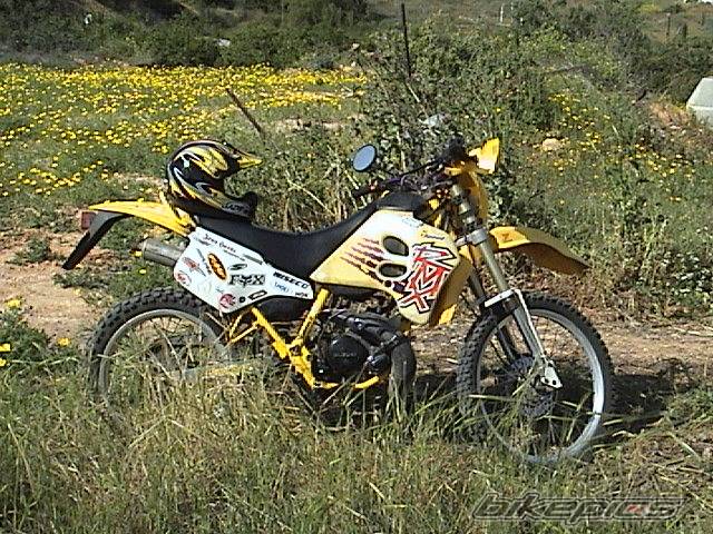 Bike Photo 328323