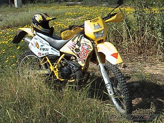 Bike Photo 328329