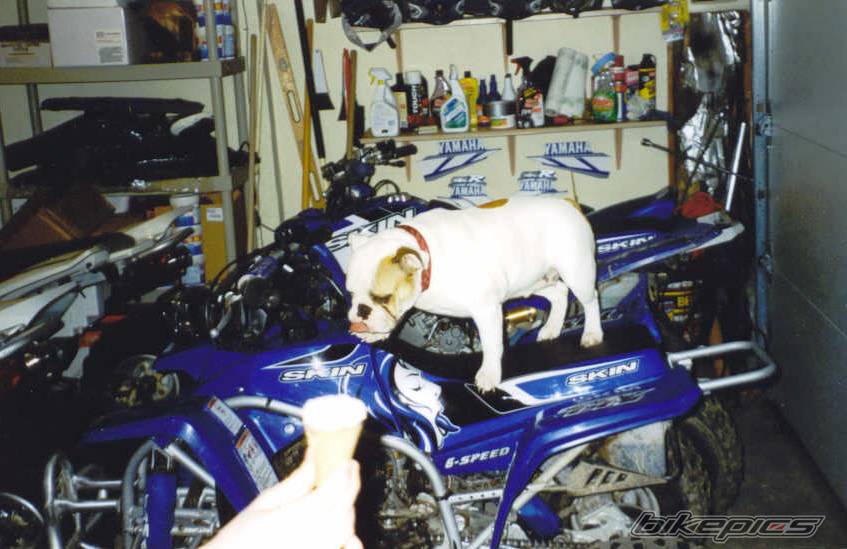 Bike Photo 32856