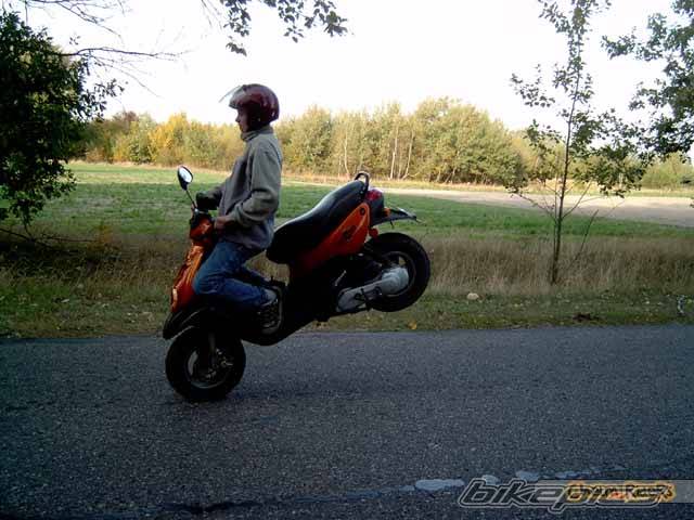 Photo 328793