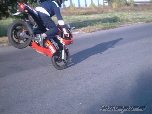 Photo 328881