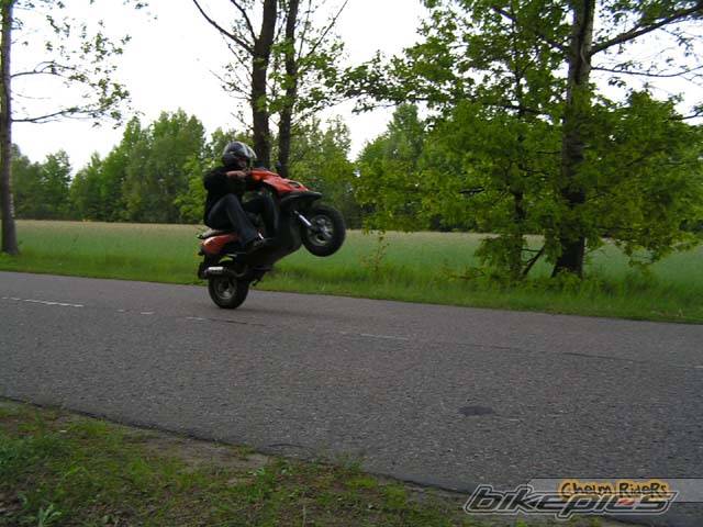 Photo 328892