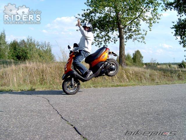 Photo 328929