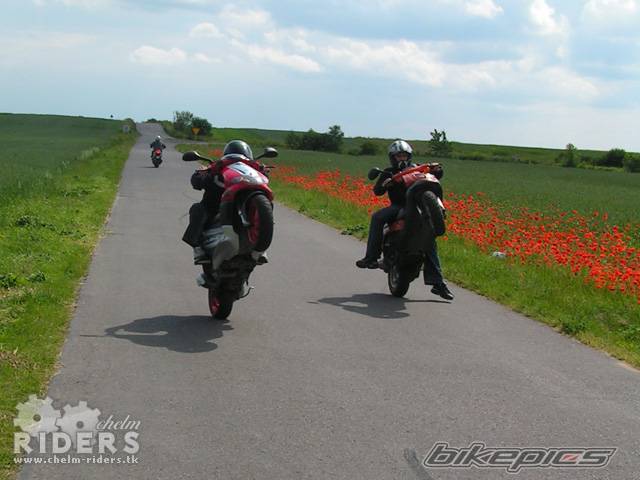 Photo 328930