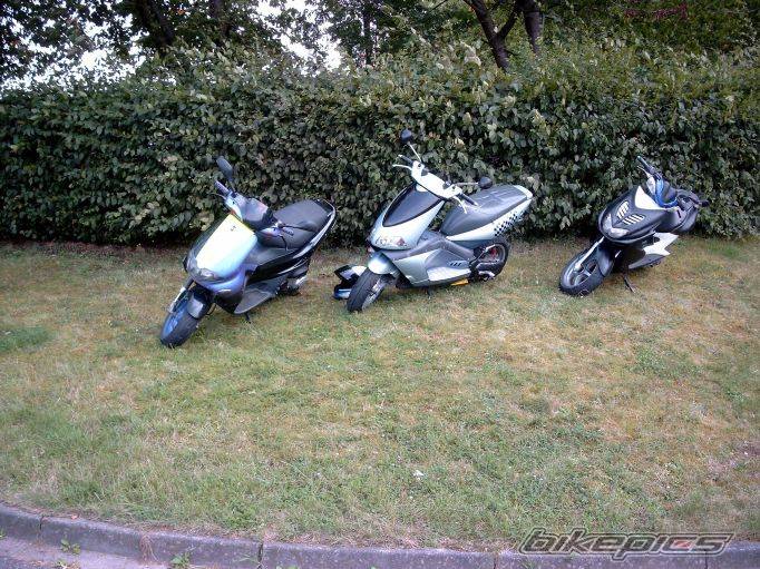 Photo 32895