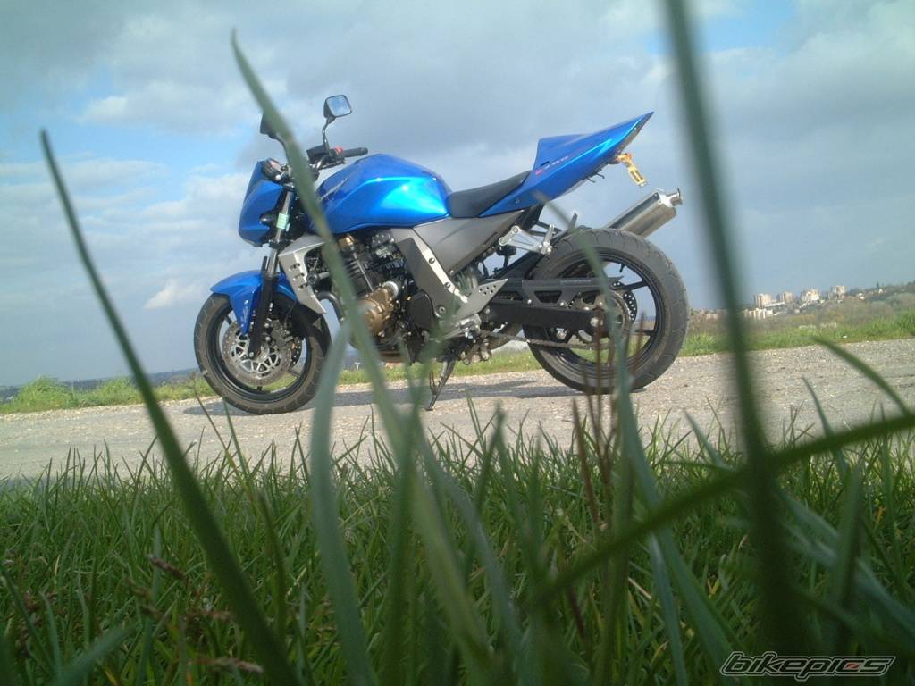 Photo 329038