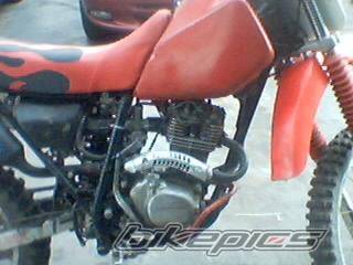 Photo 329069