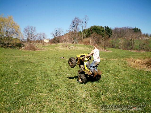 Bike Photo 329158