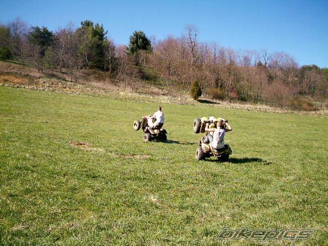 Photo 329159