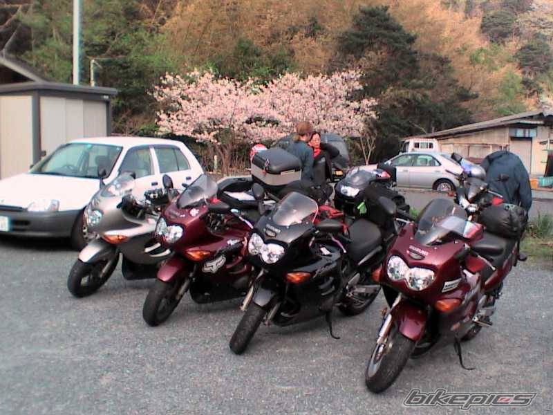 Photo 329316