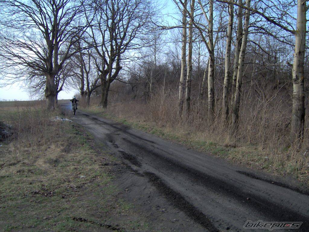 Photo 329339