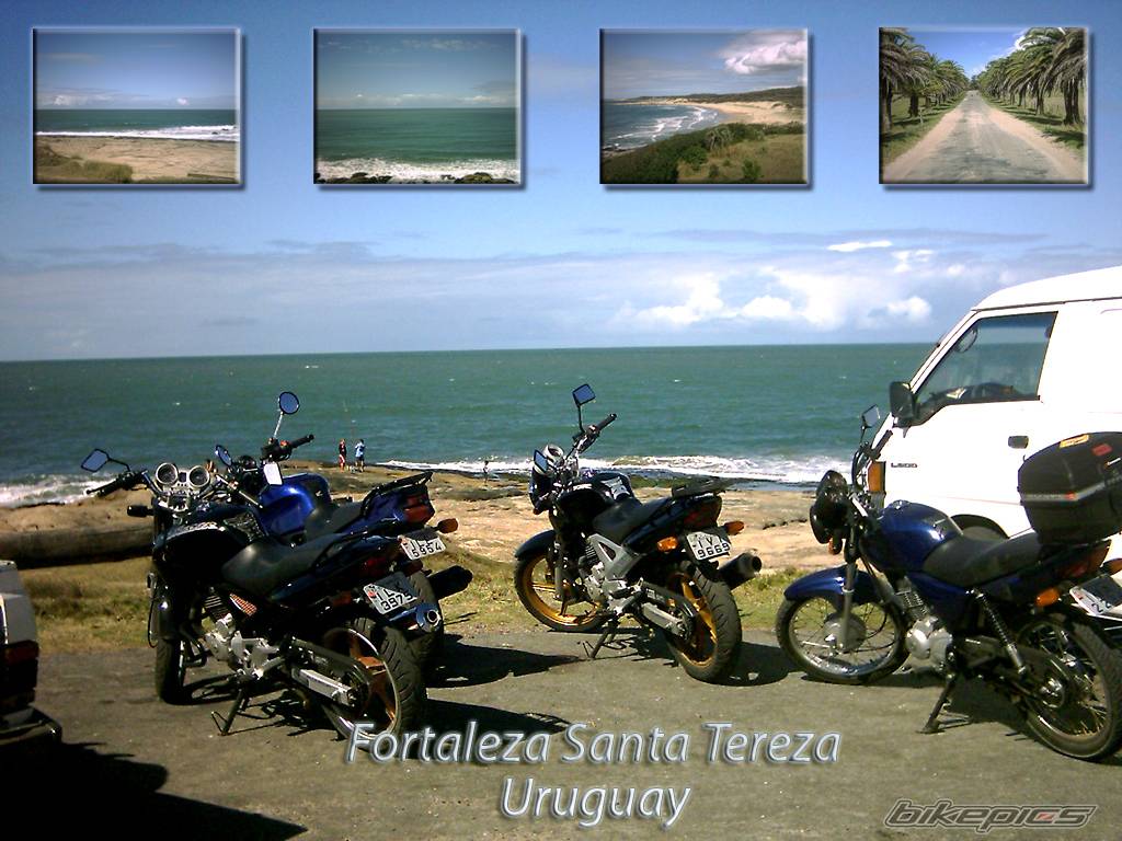 Bike Photo 329368