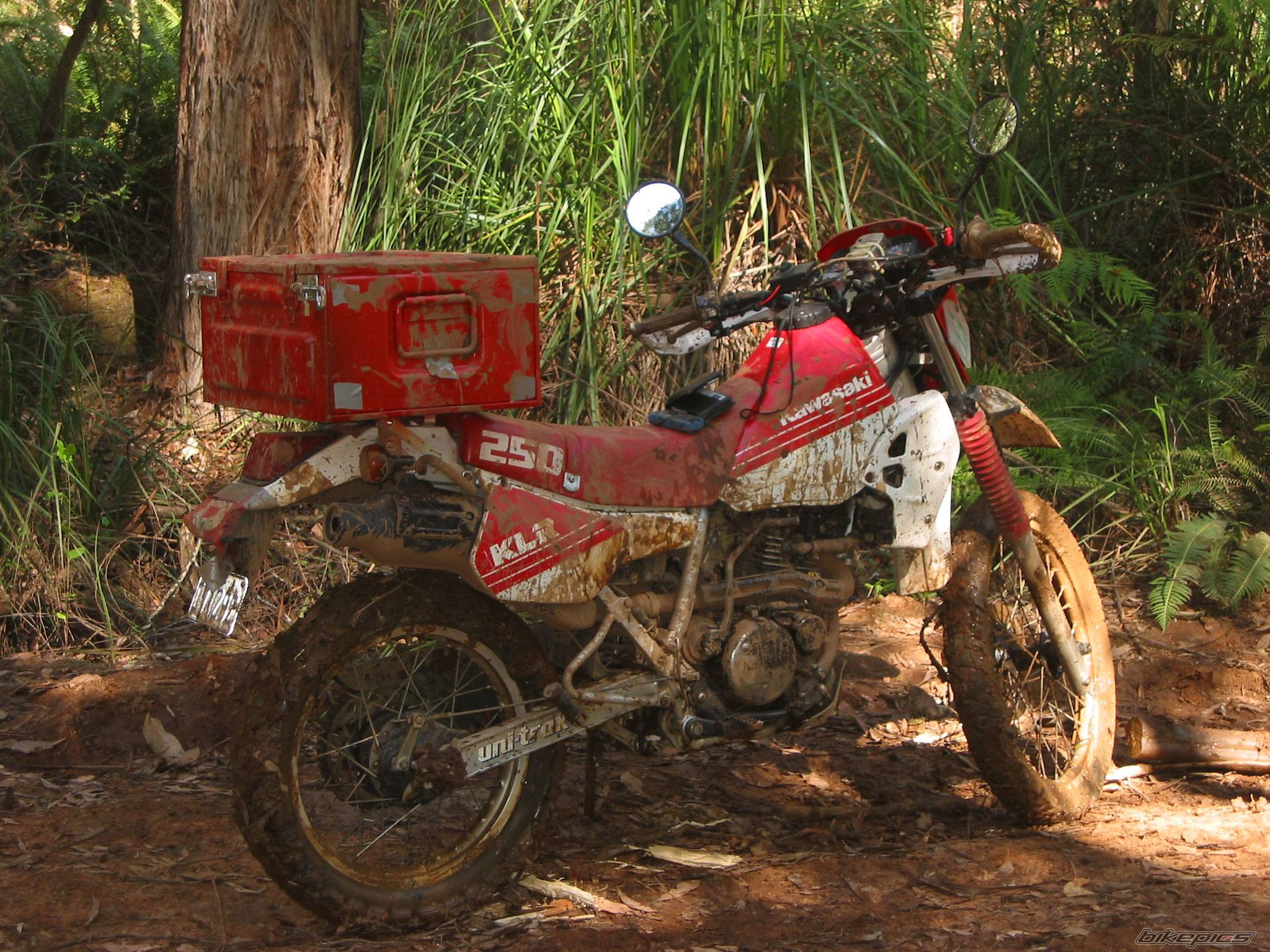 Bike Photo 329376