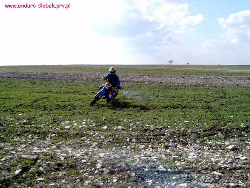 Photo 329432