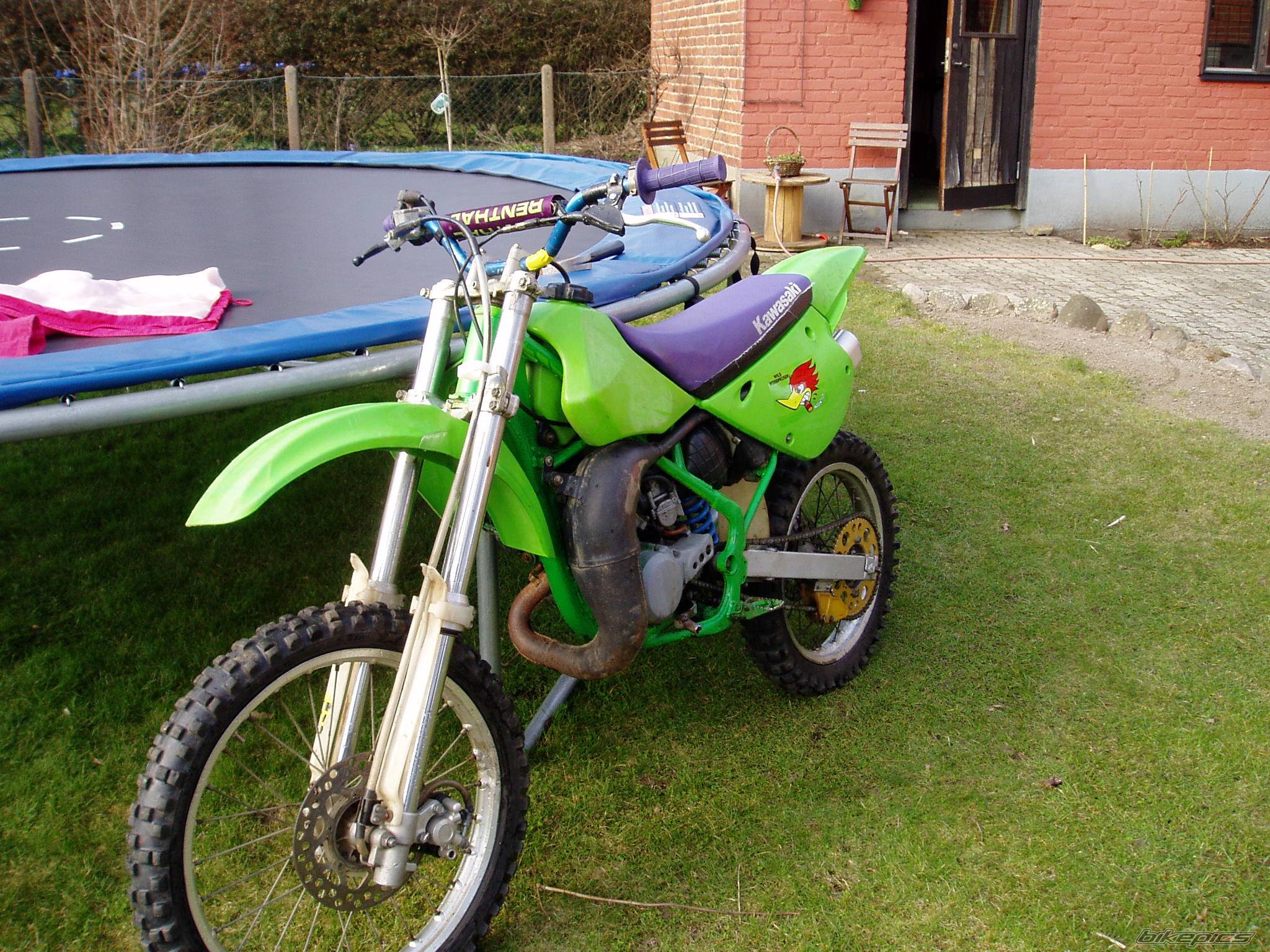 Photo 329480