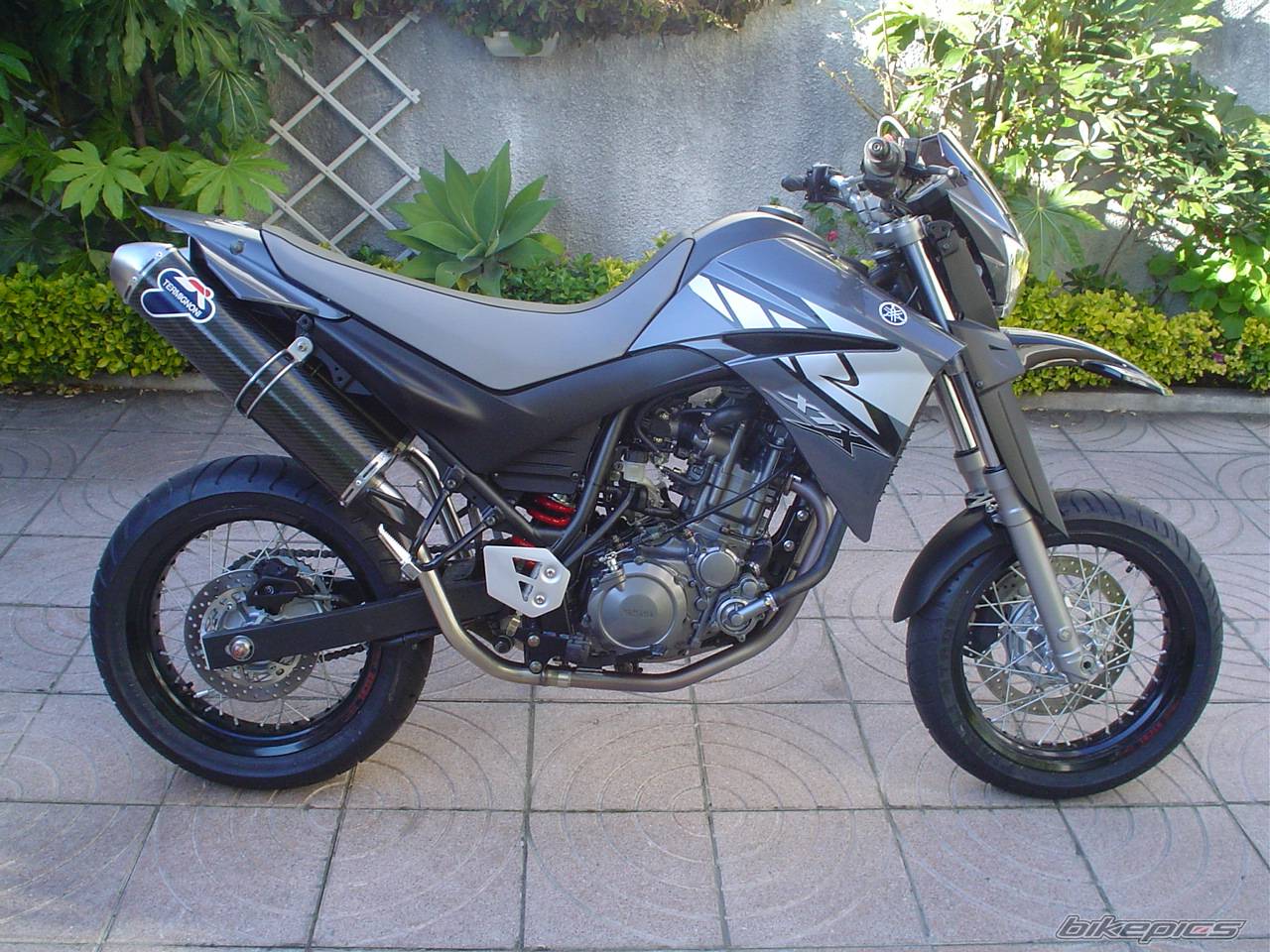 Bike Photo 329596