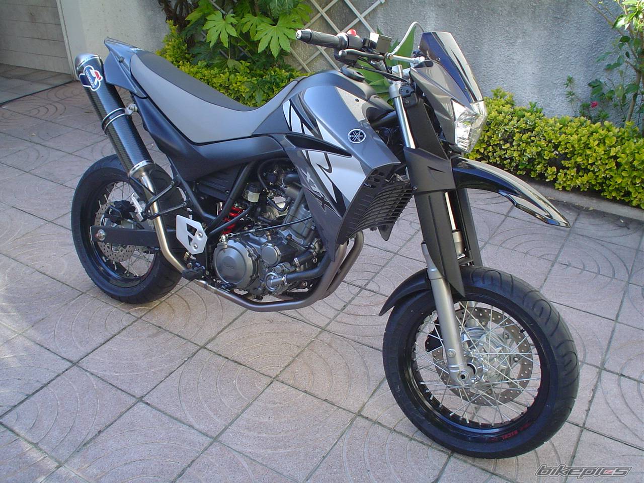 Bike Photo 329597