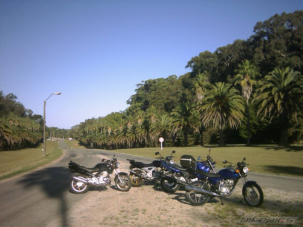 Photo 329649