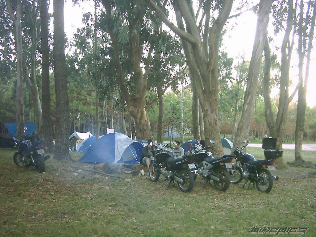 Bike Photo 329651