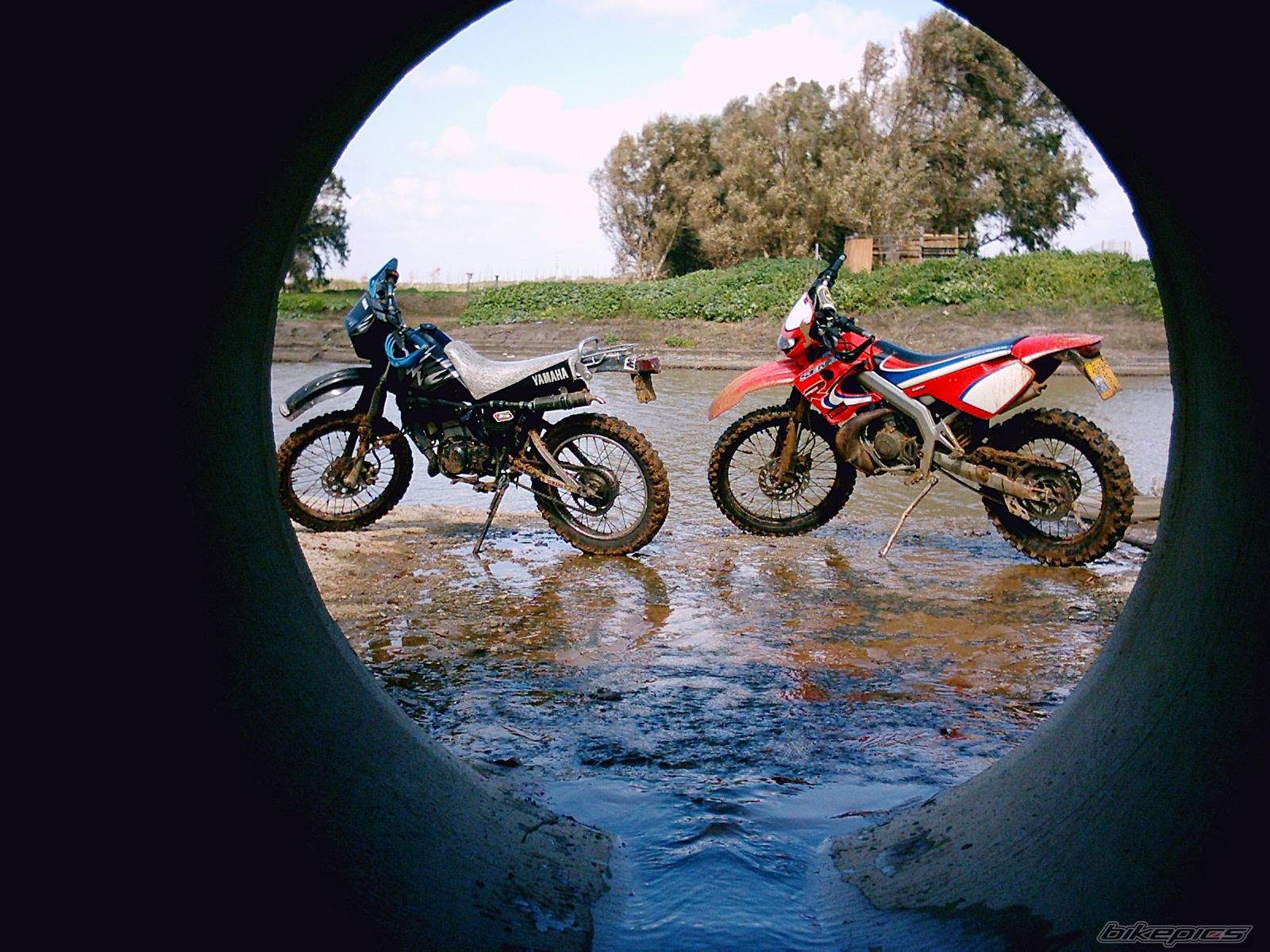 Bike Photo 329676