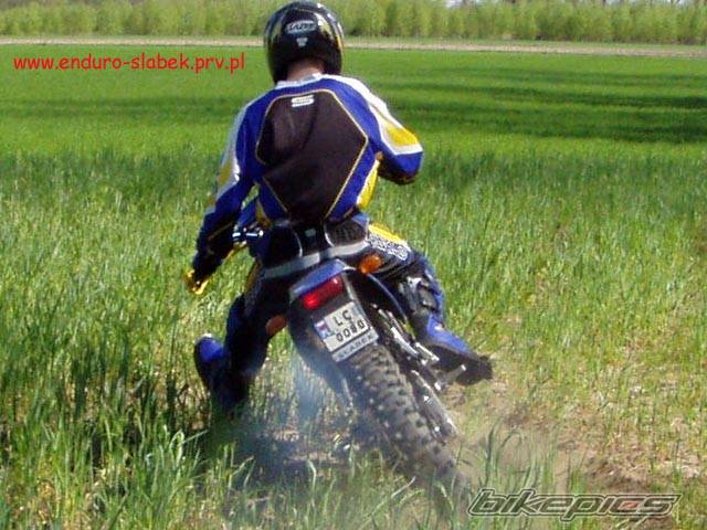 Photo 329681