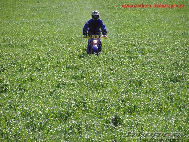 Photo 329689