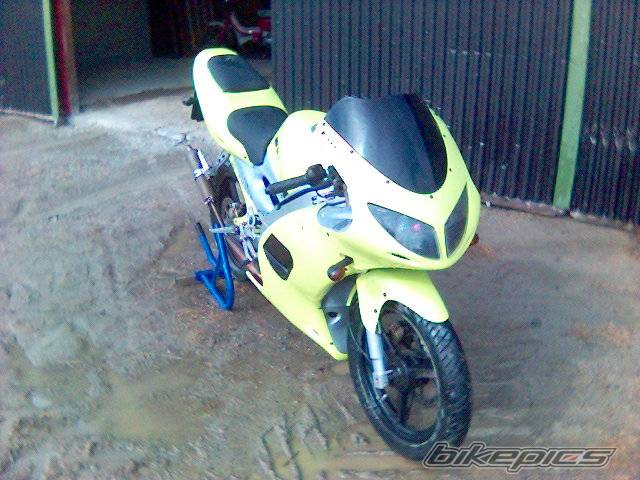 Photo 329833