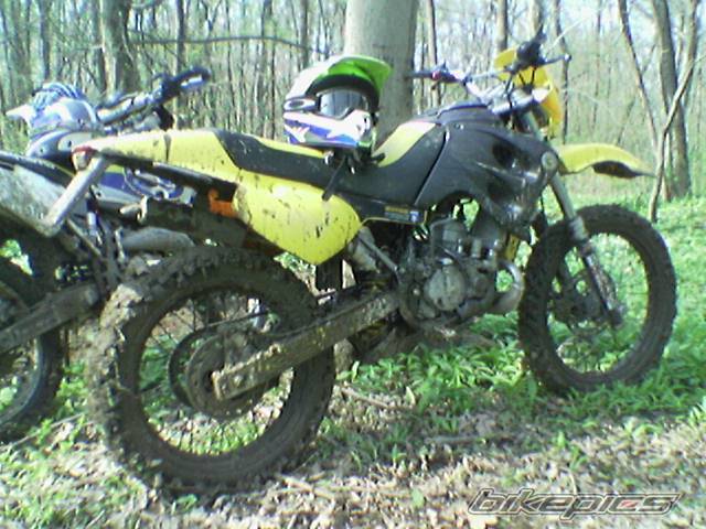 Photo 329912