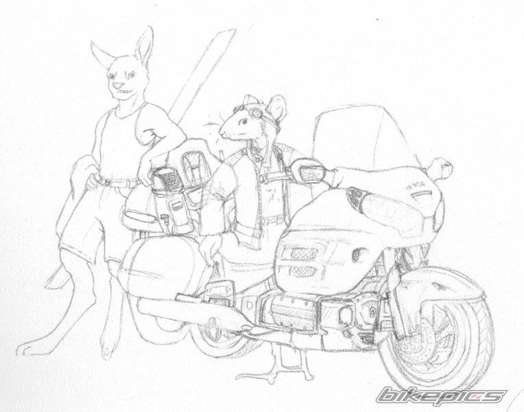 Bike Photo 32998