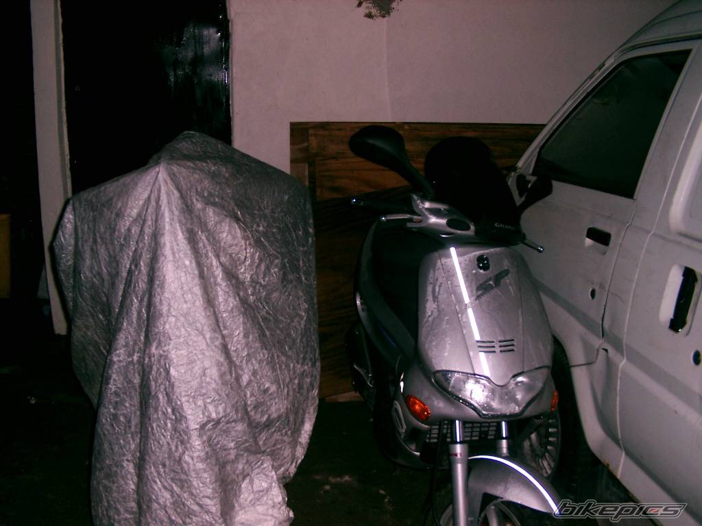 Photo 329995
