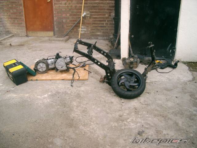 Photo 330007