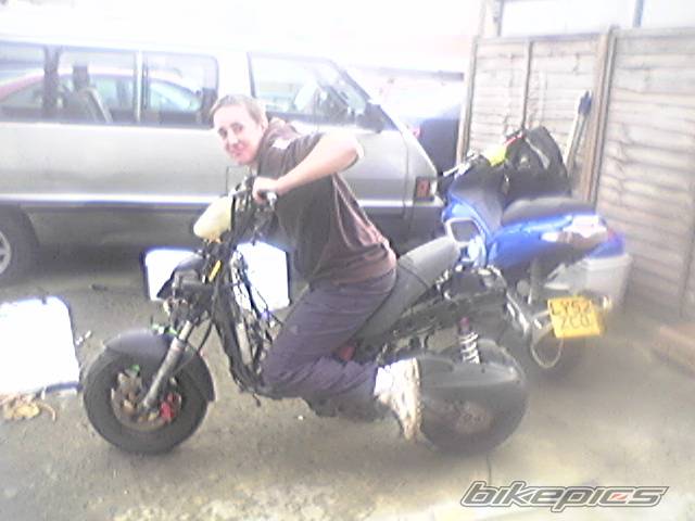 Photo 330009