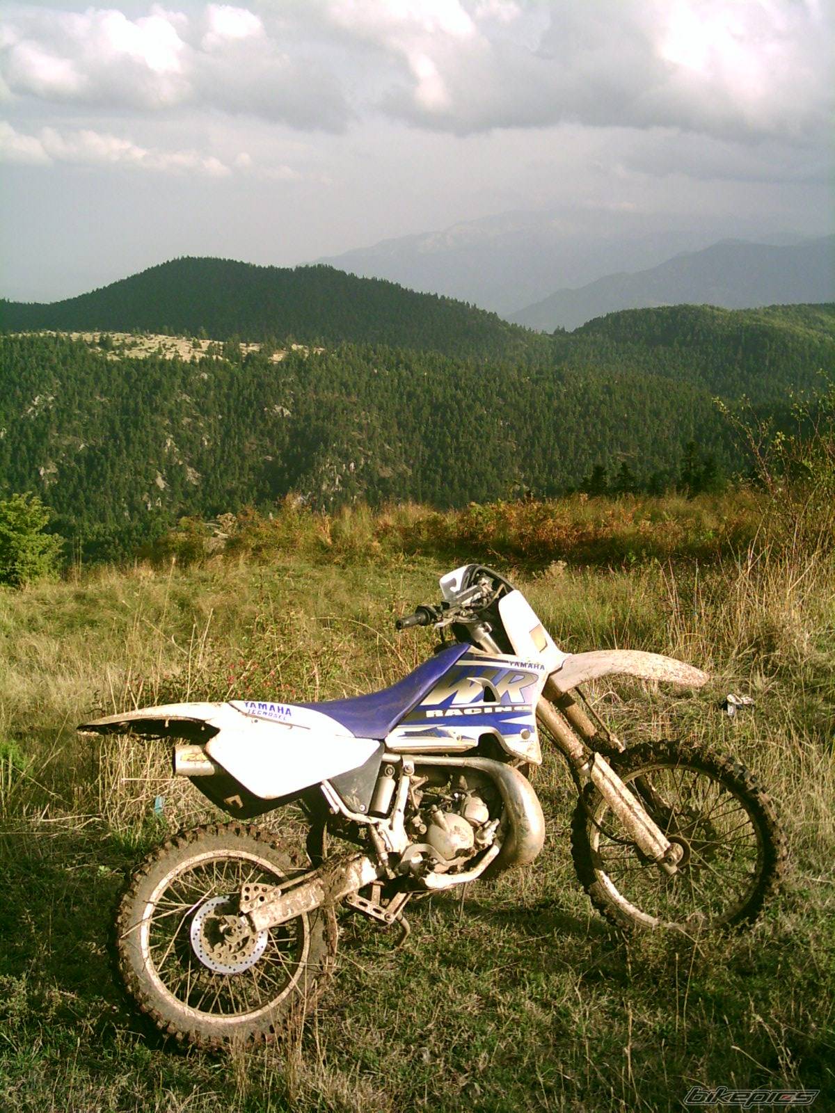 Photo 330056