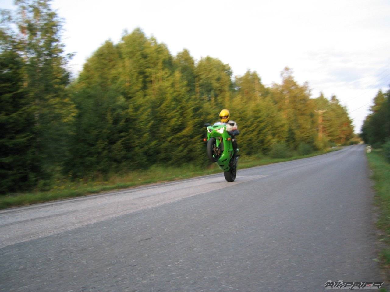 Photo 330079