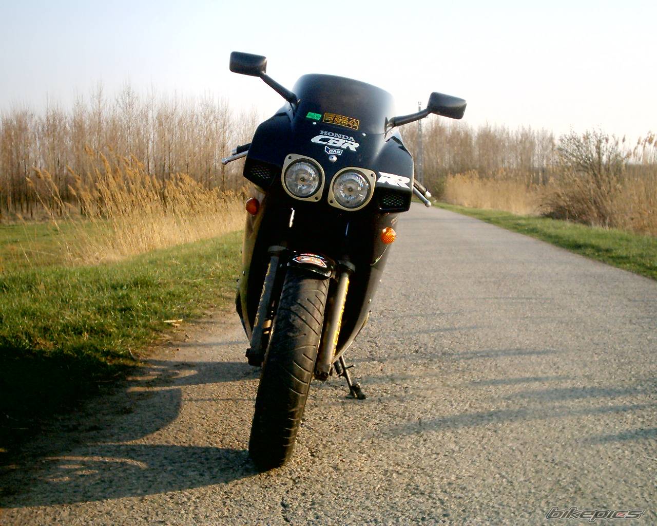 Photo 330097