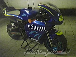 Photo 330160