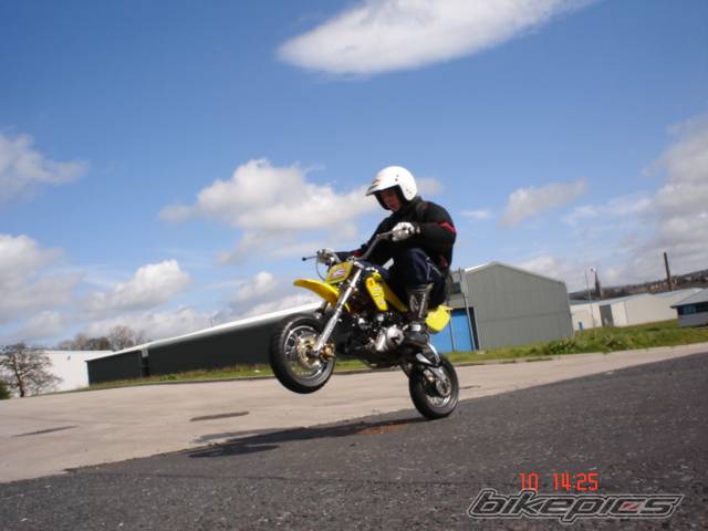 Photo 330220