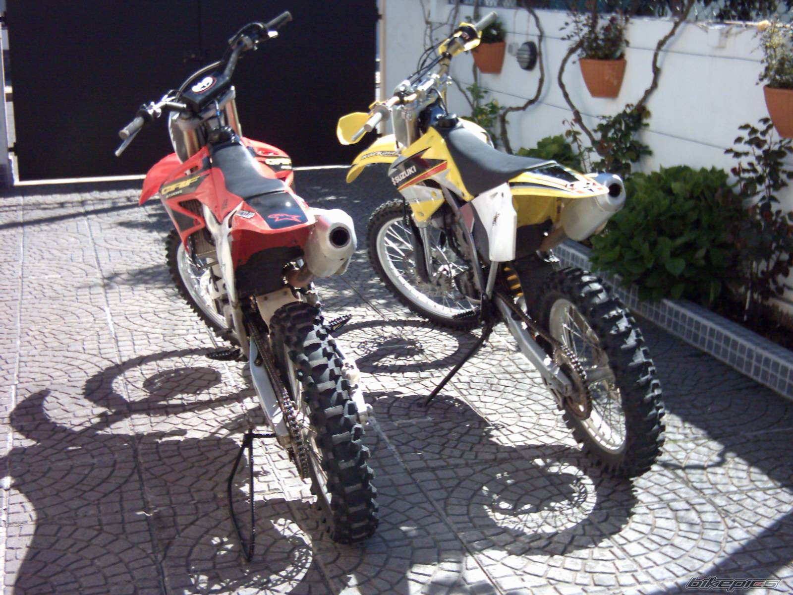 Photo 330252
