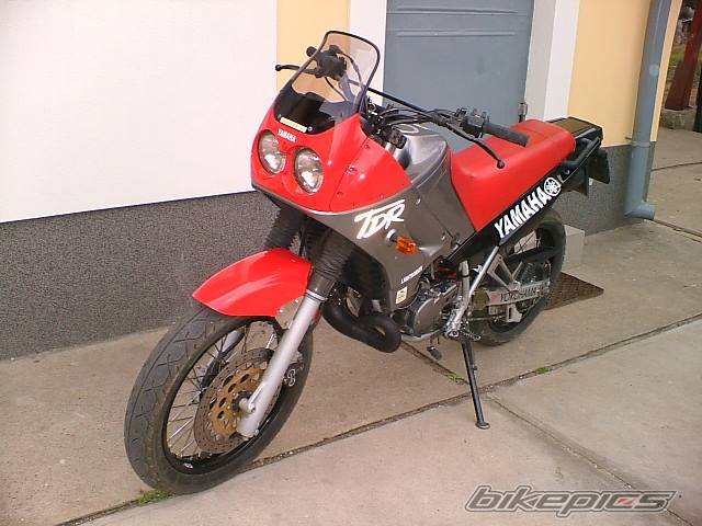 Photo 330262