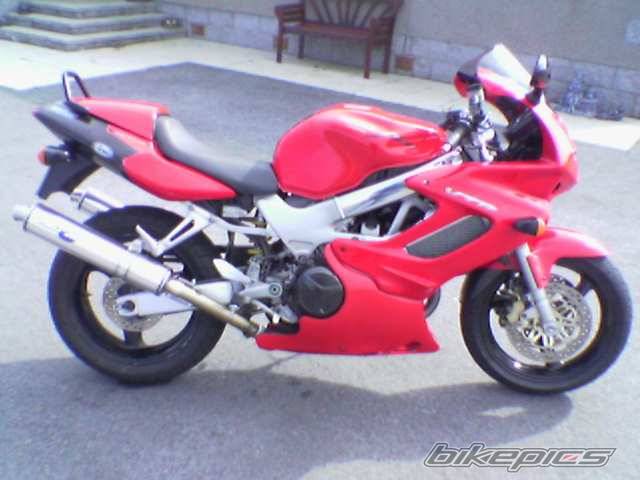 Photo 330268