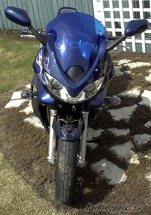 Photo 330293