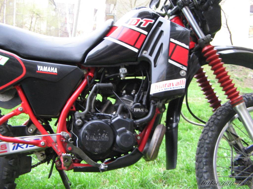 Bike Photo 330313